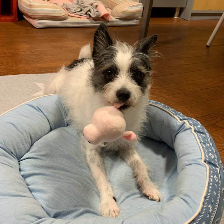 821f38fe cbdf 4350 a524 b8a838473c20 1592616014778