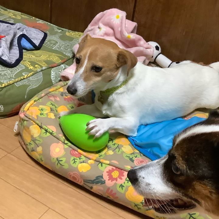 821f3ba7 d074 4ec7 a3ac 095c05e13ee8 1596537109573