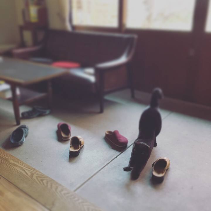 821f47f2 aeca 4d8b 8208 d2294eae9e38 1522803128352