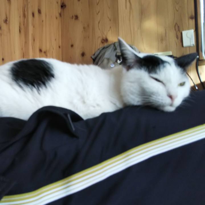 821f82fd aad0 4d0b ac45 4acd715c70bf 1577791842366