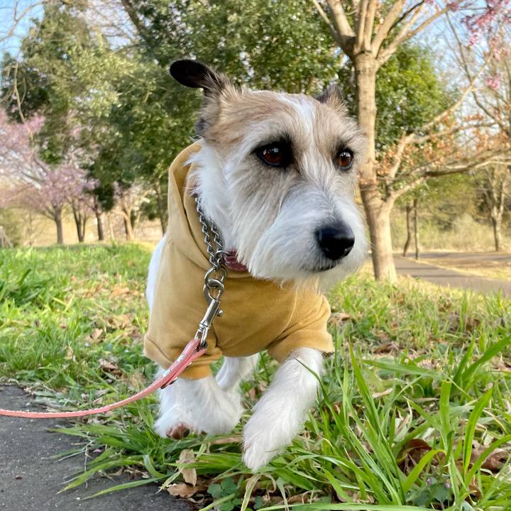 821fa48a 8dd4 415d b99e b0cd33a872ae 1678964223280