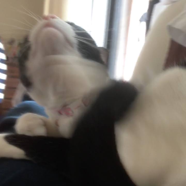 821fa734 30ab 4c33 a261 15bee28379a1 1553225307016