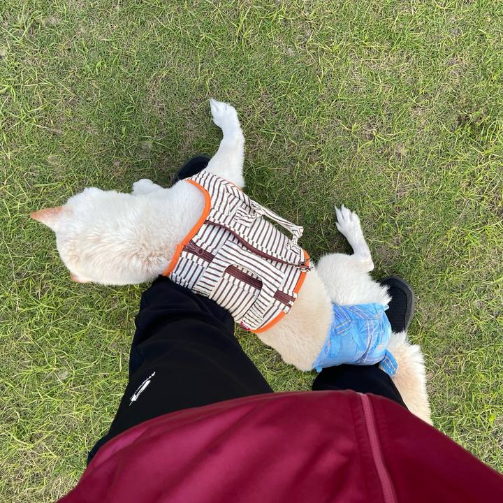 821fe547 8006 4d40 9de0 d3f593a32103 1656679897819