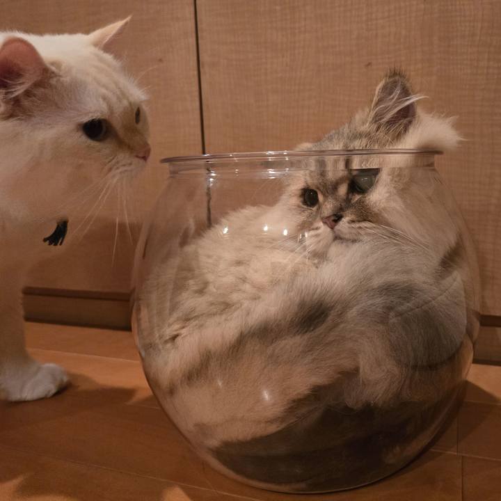 8220a8c0 8f74 4284 b3bd 5d2dbdc82d36 1728038030259