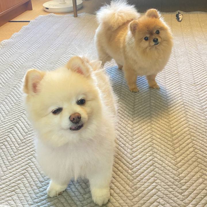 8220c1d0 5f9e 4e05 a9c0 cce8c8592cd8 1771891670623