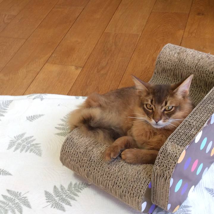 8220ea5a 13b1 4695 b889 8c70baba468c 1586852299918