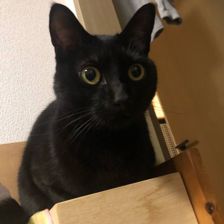 8220ff33 6cfb 41d3 8ba0 40c70357b09a 1610882978577