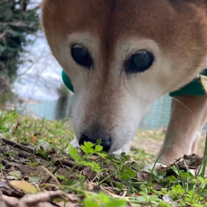 82212648 543c 4e86 bb4e 12a8bcfbe311 1706854322453