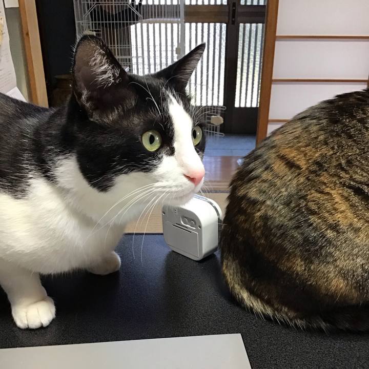 82212757 7ddc 45c6 ac4b c89fdd3d7738 1711707201470