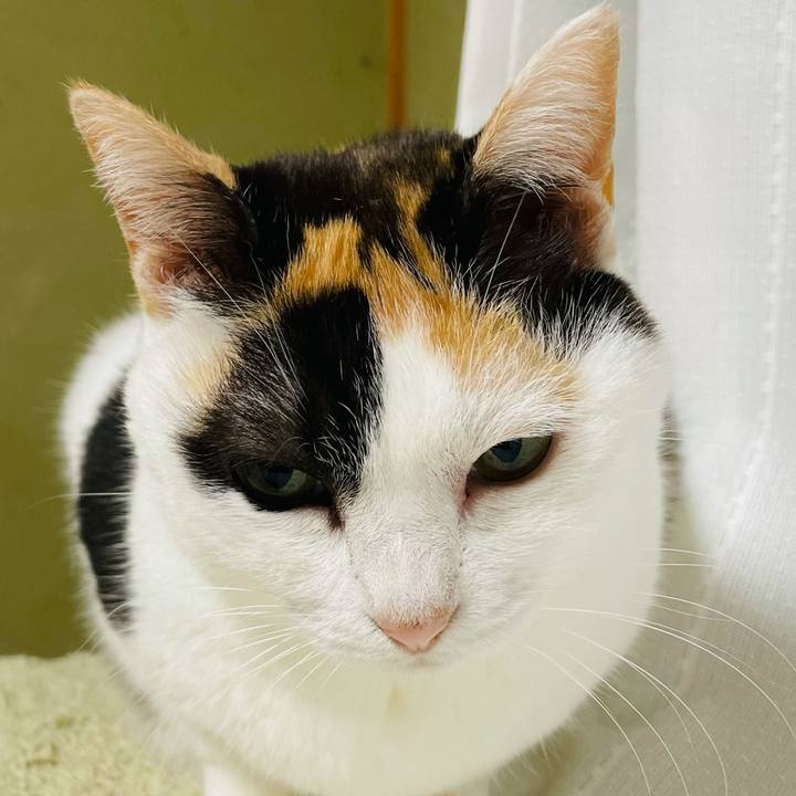 822129c6 2ec5 4361 a27f 2eb61394e608 1618019163436