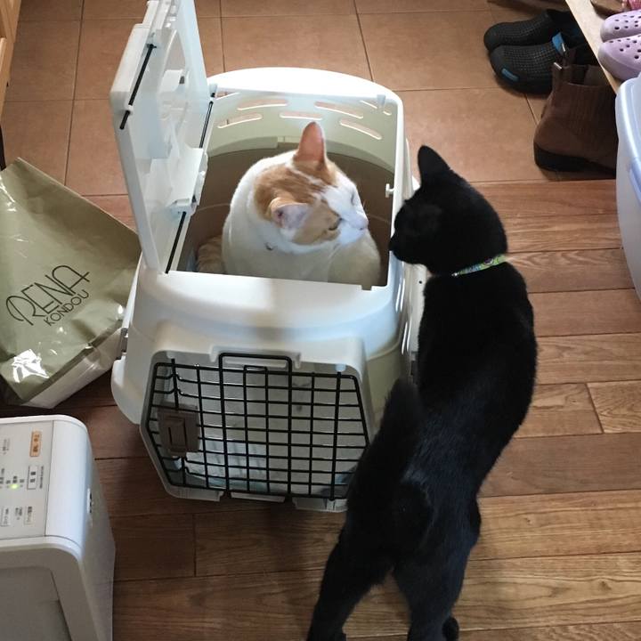 82214fce a0ec 48bc 9ae6 1b232ced61b2 1536150142422