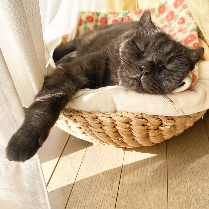 822155d8 eebe 4869 bc0e 49e7c4cbd5b7 1601185759747