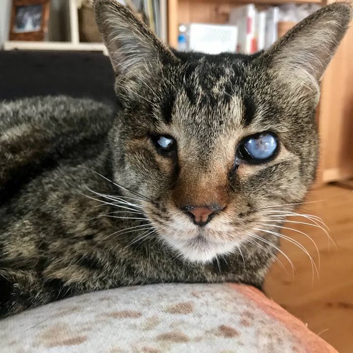 82215cd7 a5dd 4586 a12d 1549c4256d46 1620112365916