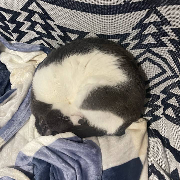 82218a09 d321 4ec2 a606 d35420452729 1675160208903