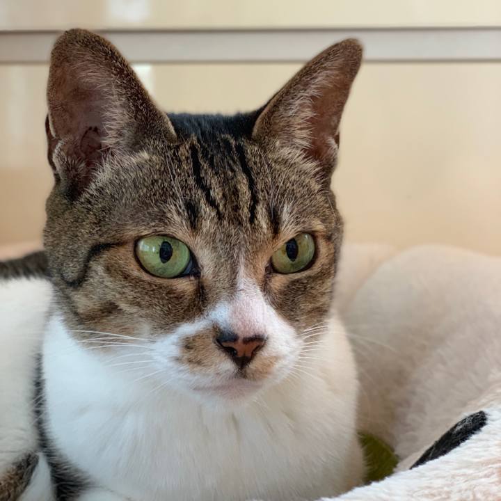 82219b68 61b2 4ad1 93f0 a9f6a2f401a1 1540951065958