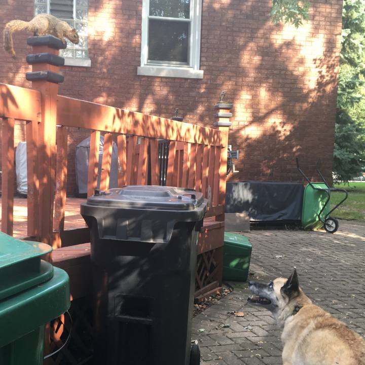 82219c7d ba7f 4211 959f b471a1bc077c 1535521124674