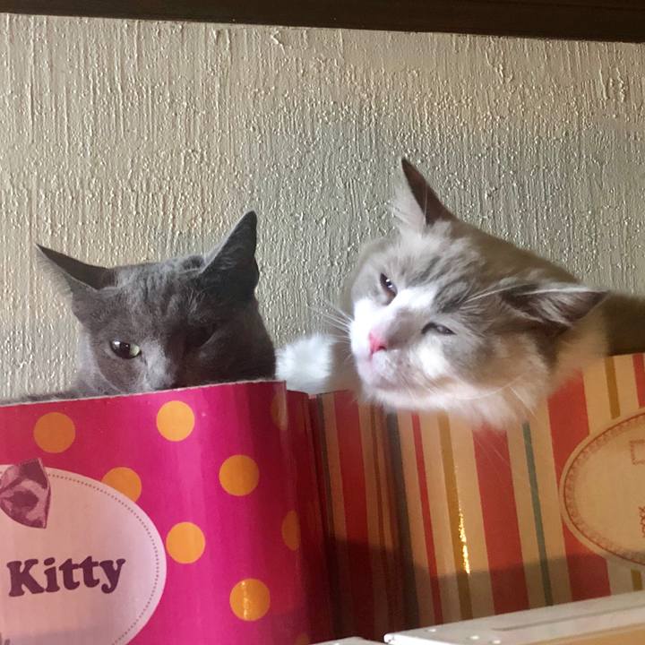 8221b69f f6ba 4e05 8877 2967ebe76f97 1567855413477