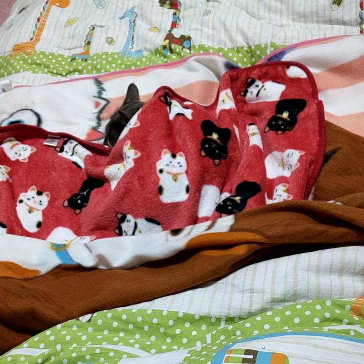 8221f18b 640f 45f8 905f 448dd89f5e33 1637673349731