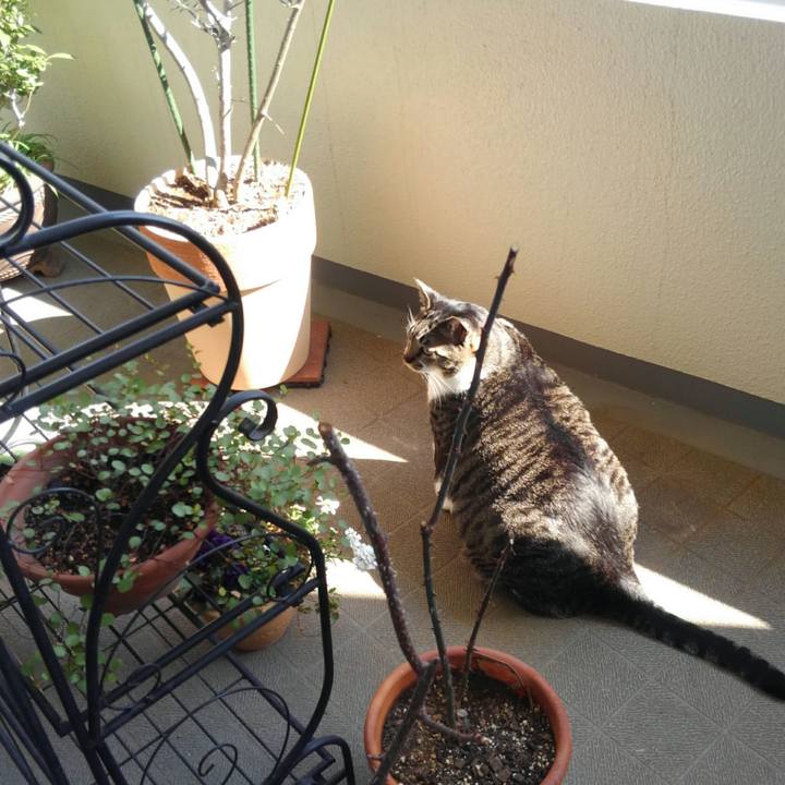 8221f4ea 323c 4c70 8500 e60036bdd4b4 1518665156718