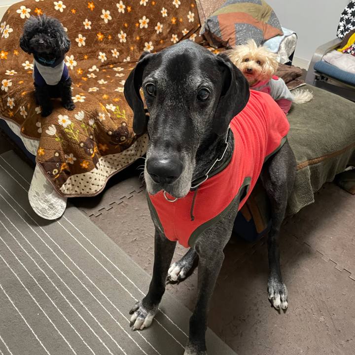 82223179 3cab 4d00 b6fc 81a69e1c0e4e 1613341746613