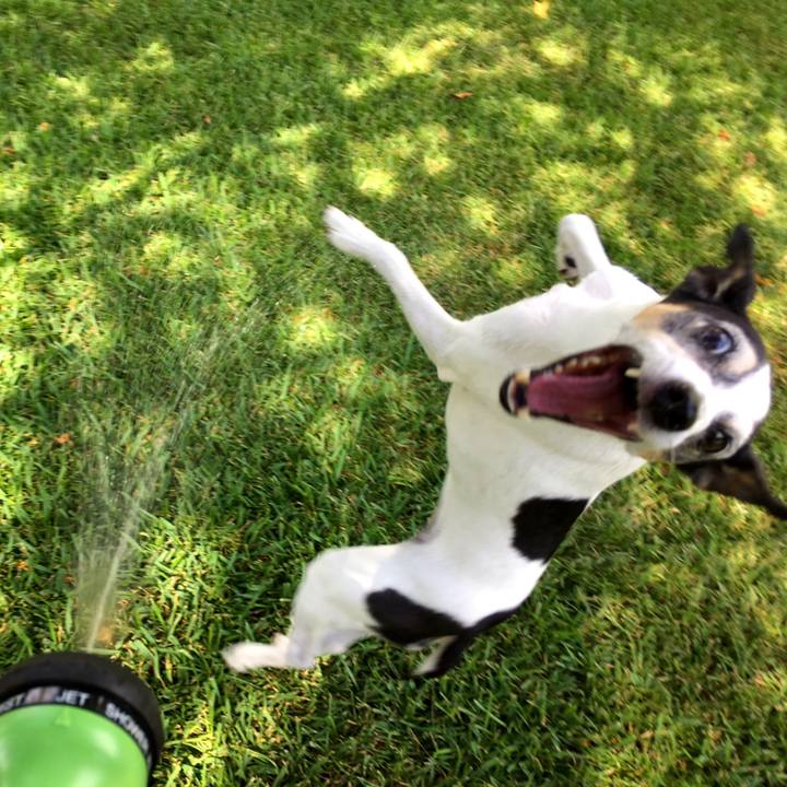 82223a4a 65da 4d0d 8219 636b4ee98811 1566165506250