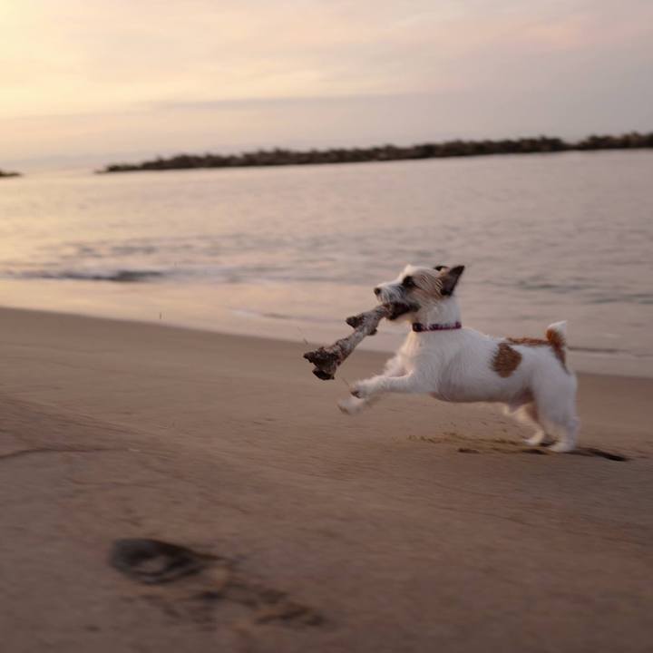 822240df ea0e 46f3 8128 002c0f8fe7a1 1510373003080