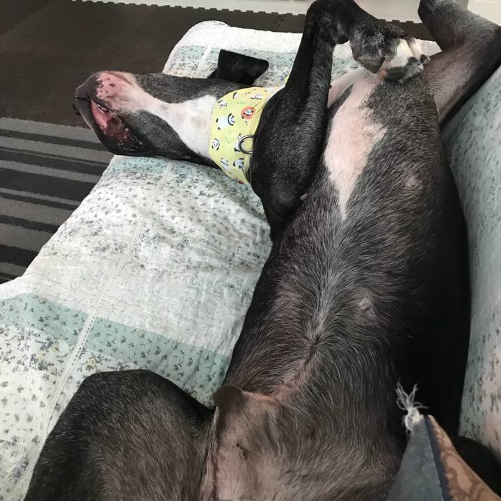 8222547b 640b 4f7e a69b ee19da12a7da 1533954729340