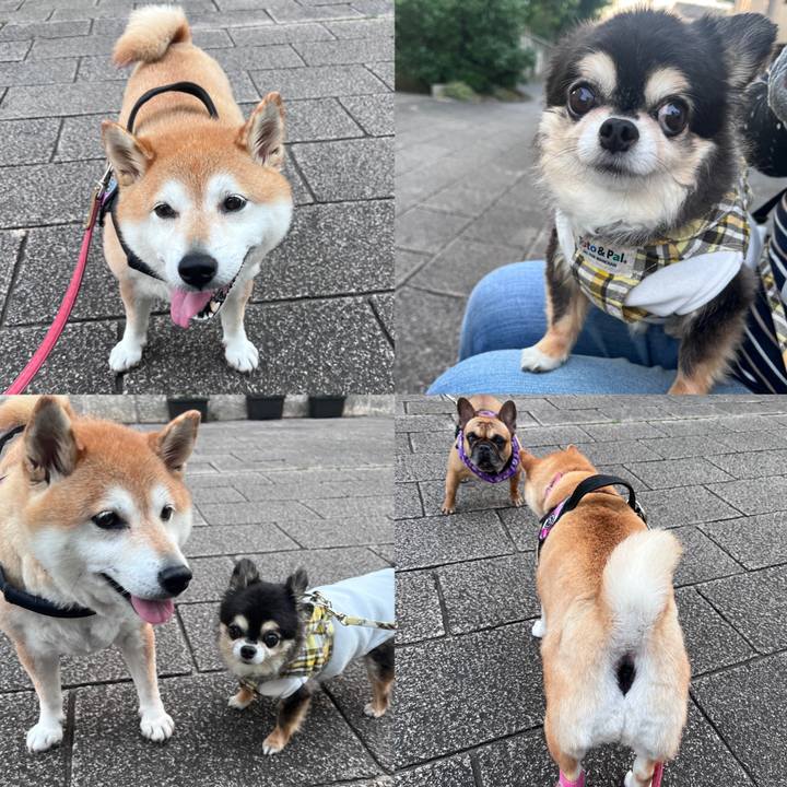 82226c4c 60e8 47e8 a6be 9c3ee4d7a25c 1720174914350