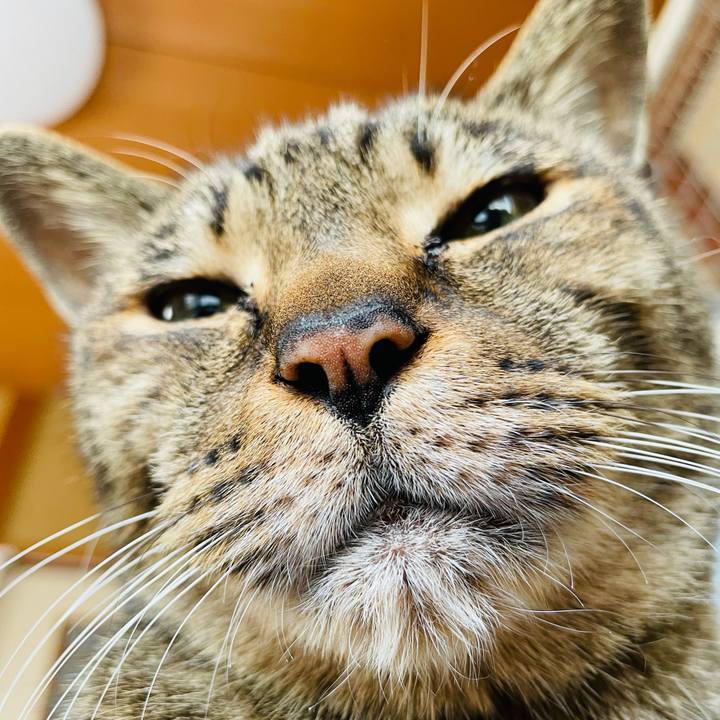 82227ea1 2512 4126 b74a be4f7f9bc234 1613784388847