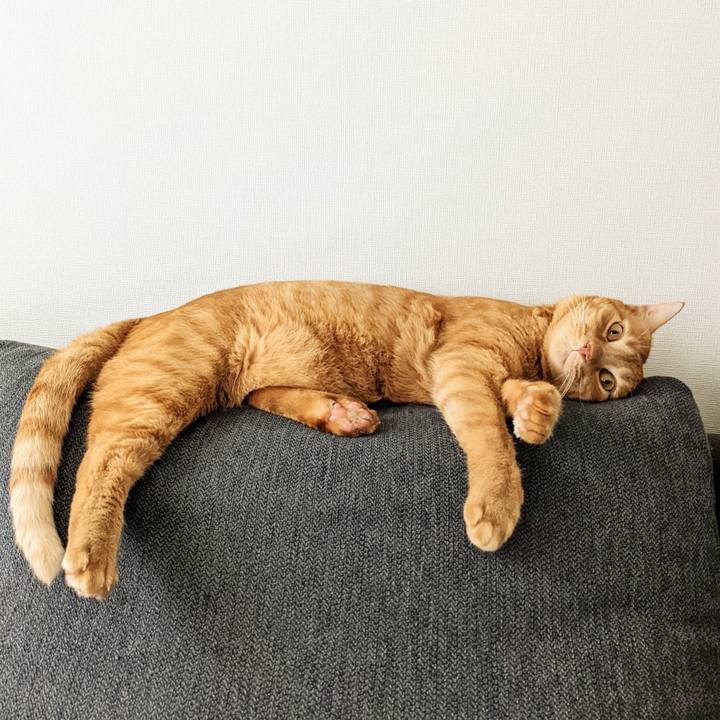 8222a260 8814 457b 8a11 52f932032e0a 1658632966352