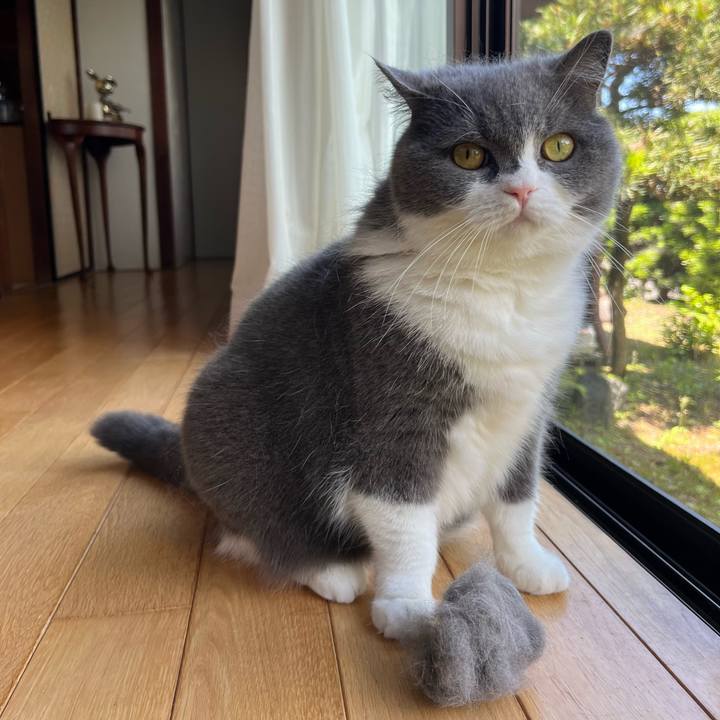 8222b6b8 9c0b 4072 9a65 27e6cddfccd0 1654309869850