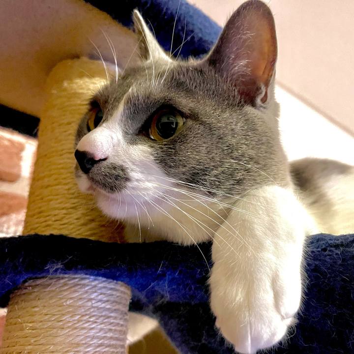 8222bc9e d84a 40ae a540 2fd03c89e1fb 1645354176056