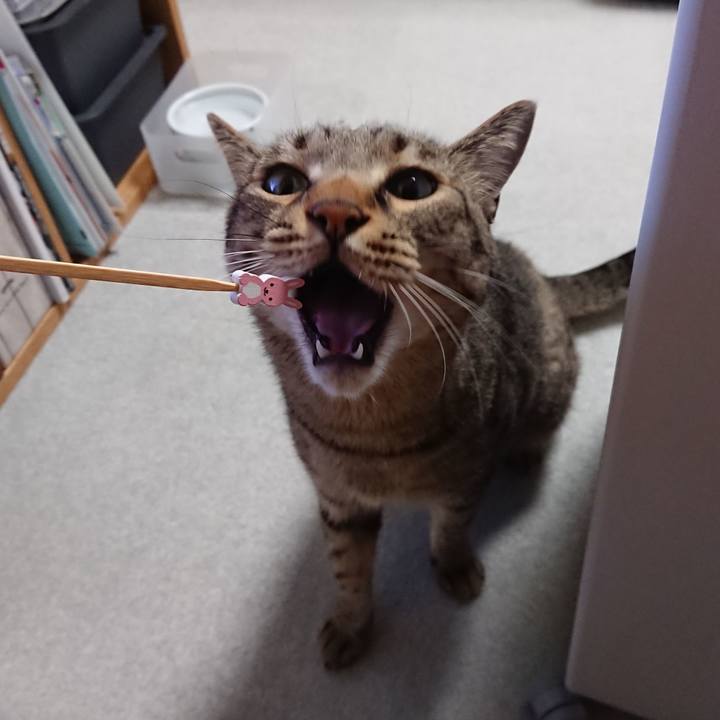 8222ca75 36d1 461e b6db 72e365bdc93b 1568820007805