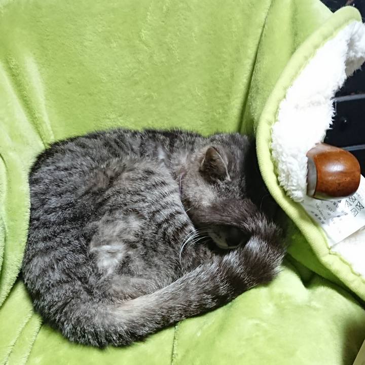 8222d12b ec40 48d7 8aad ac5ac5474e6e 1589062741675