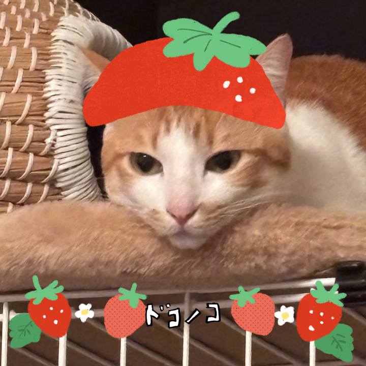 8222f753 340e 4068 8deb b4fcd60d4f94 1775871547888