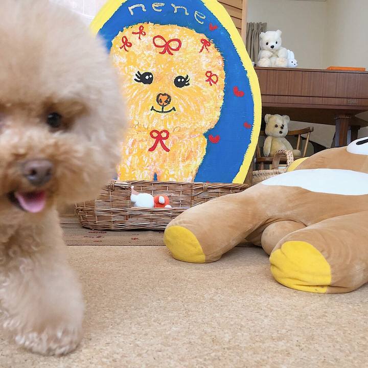 82232437 d7ee 49b8 bea2 9983e0eb288b 1533372257858