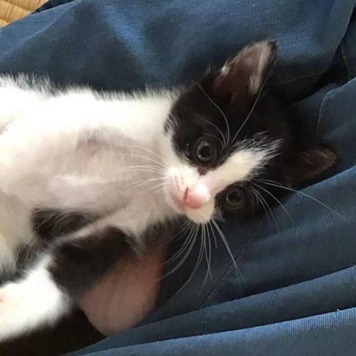 82236ed8 4a77 459b 9f79 854e2c101c3f 1623060621741