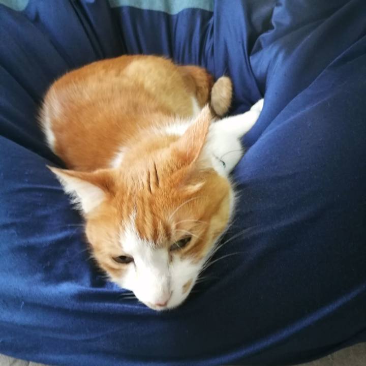 822392af 2936 4d47 82c8 0ff8a03cee96 1621660556779