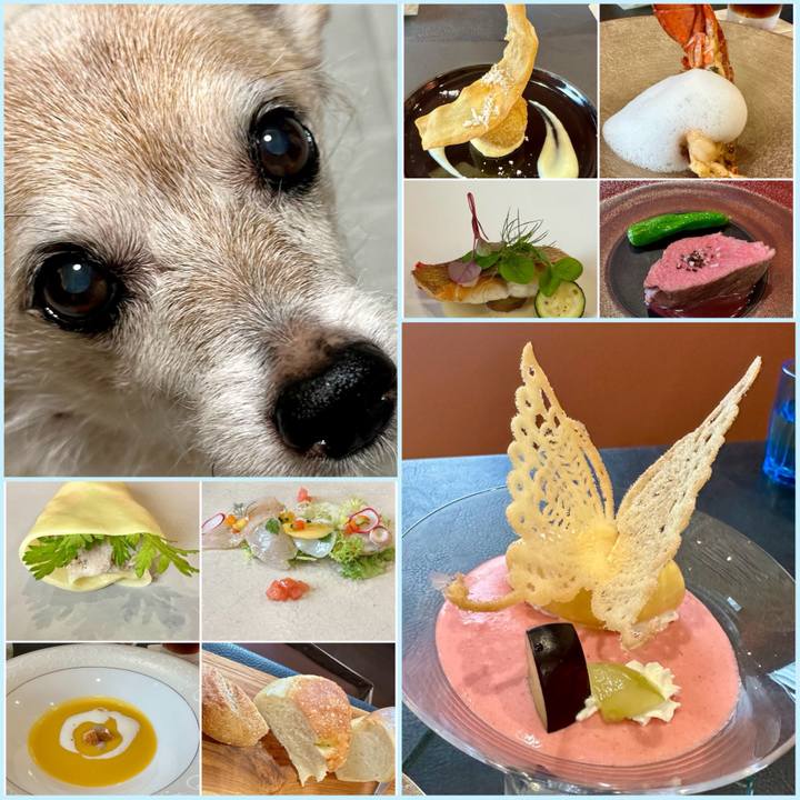 8223b86d aadf 4e8b 982f e771cad29953 1728628820061