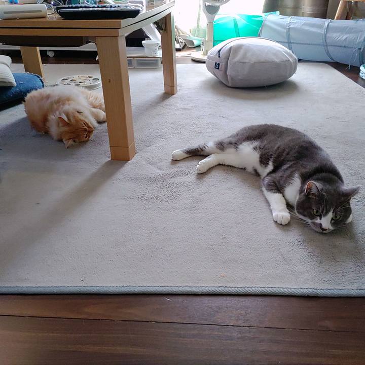 82241737 a909 4646 ba64 b0b9b1dbf00e 1723707230734