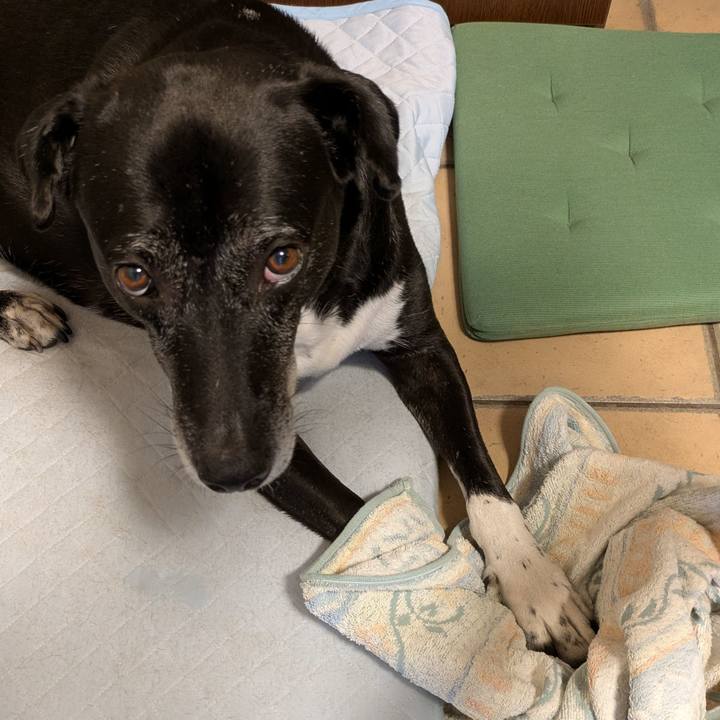 82242880 934b 496d 8e37 3d519f54719a 1756684564699