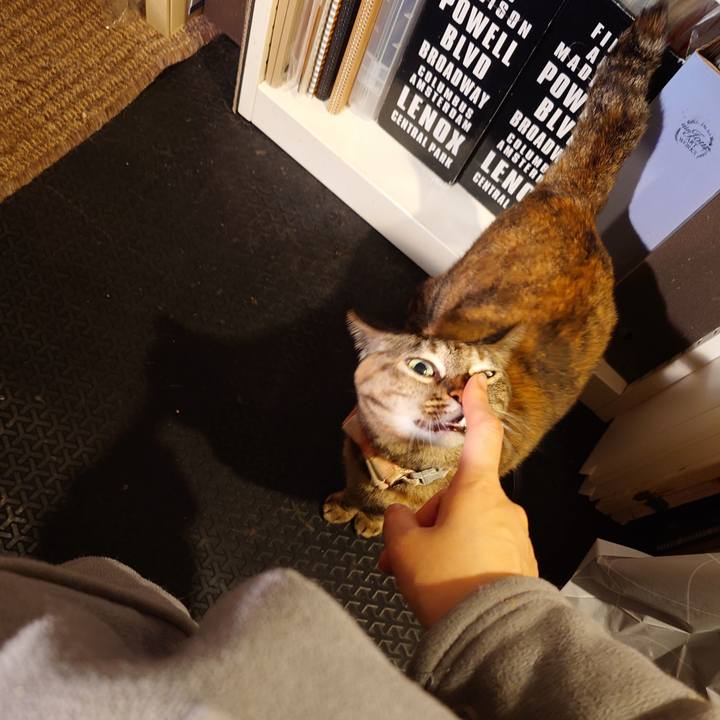 82243522 8dd0 482b a9a3 bd042173d528 1773835400522