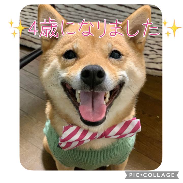 82249414 27f6 432a 850f a3b125e662c5 1642345550409