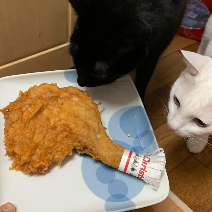 8224b794 1c62 4b25 900c c374e6e8eb44 1577184270749