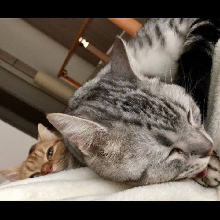 8224fc10 2e1c 4c3b ba03 6dbd0a42dcd4 1518309224868