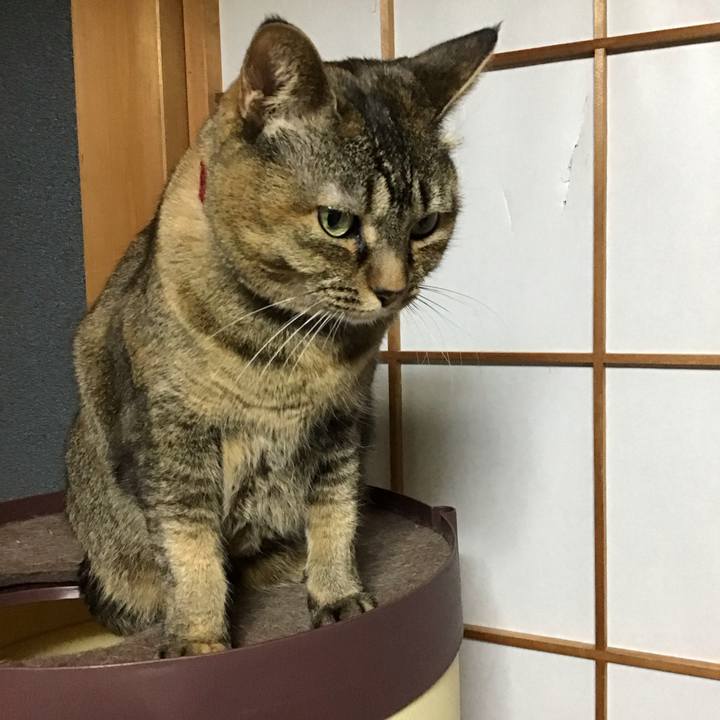 822511d0 c329 4390 85c9 33dd54b2c4c0 1738316662733