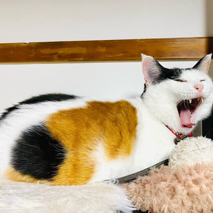 822548f3 2515 4a9d 8806 ef21e41d82a6 1716847574145