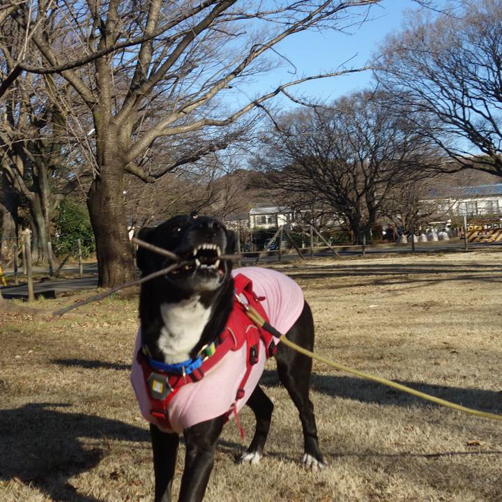 8225647f 33af 4372 94b0 1e7632a28d09 1675560309054