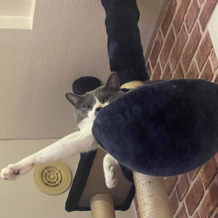 822595be 2ebc 4d50 9403 2c6d8cf9b56c 1628844542381