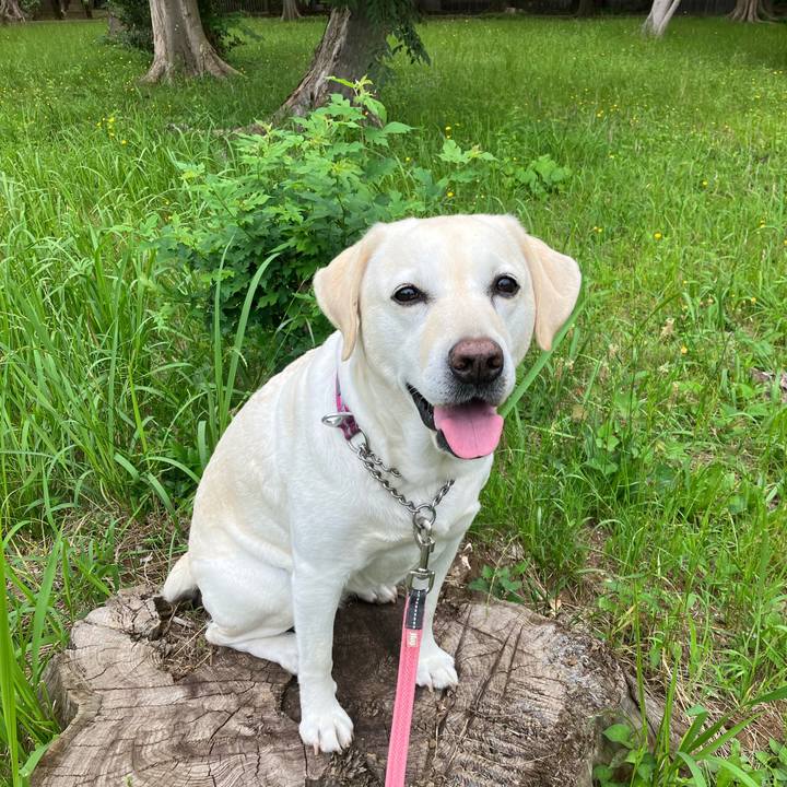 8225b6a8 ce81 449f 9b8a 2b3485dce34f 1687220745626